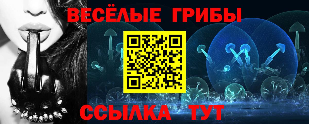 Галлюциногенные грибы Cubensis  Вход с VPN  Большой Камень 